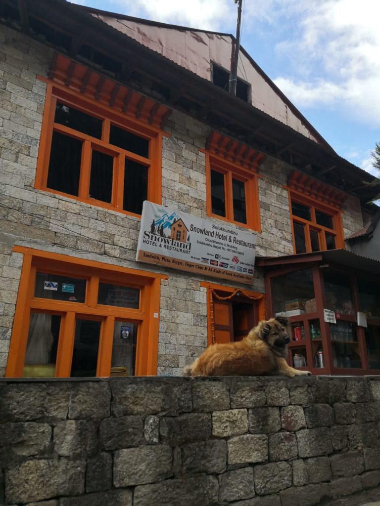 Pensjonat Snowland w Pakhding.