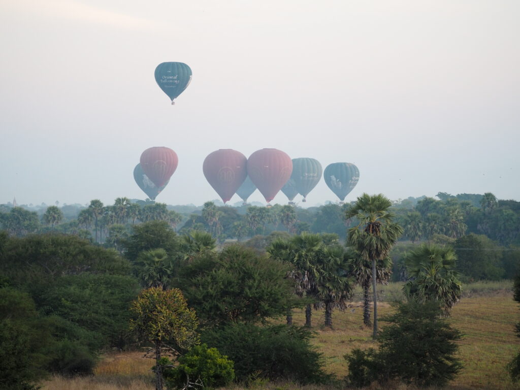 Balony startujące o poranku.