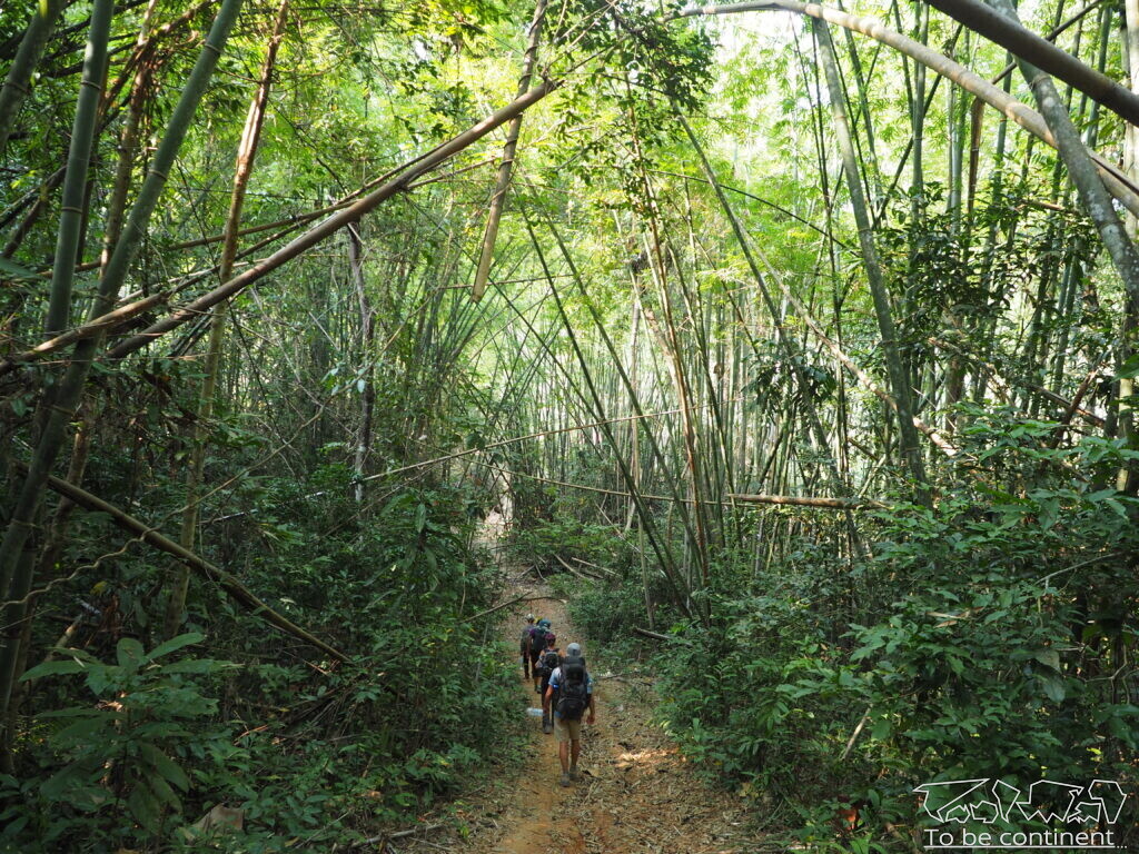 Trekking przez kambodżańską dżunglę.
