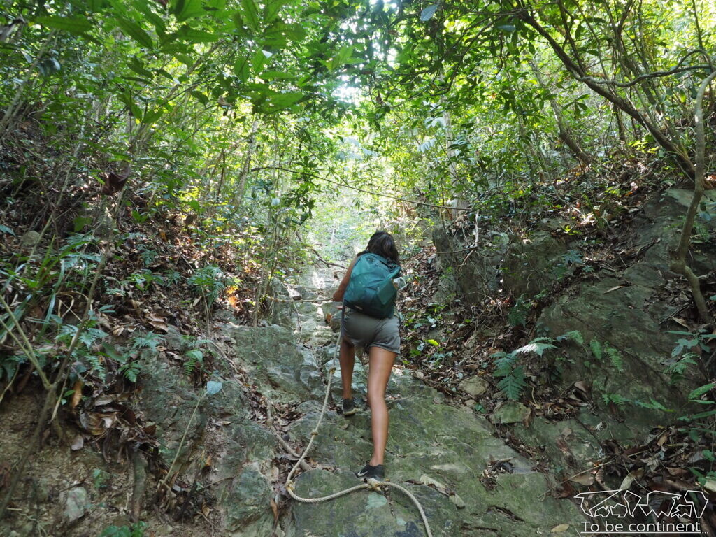 Jungle rope trail w parku narodowym Kep.