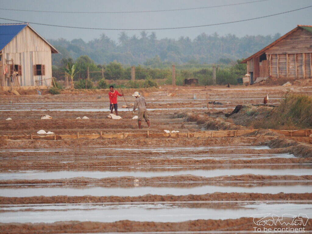 Wydobycie soli na solankach wokół Kampot.