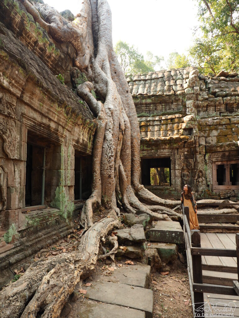 Świątynia Ta Prohm została uwieczniona w filmie Tomb Raider.